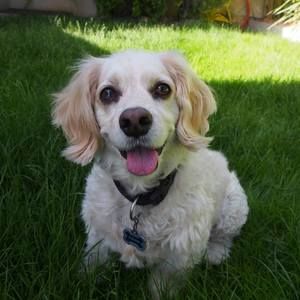 Meet your Posher, Stefanie